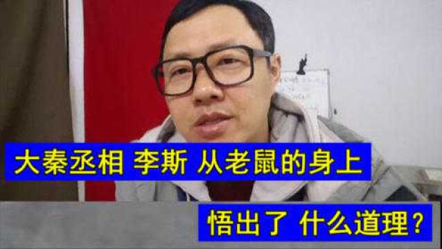 揭秘:大秦丞相 李斯 从老鼠的身上 悟出了 什么道理?脱口讲历史的阿水