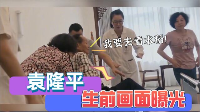 袁隆平生前画面曝光:病床上瘦成皮包骨惹人心疼!病危仍牵挂稻田