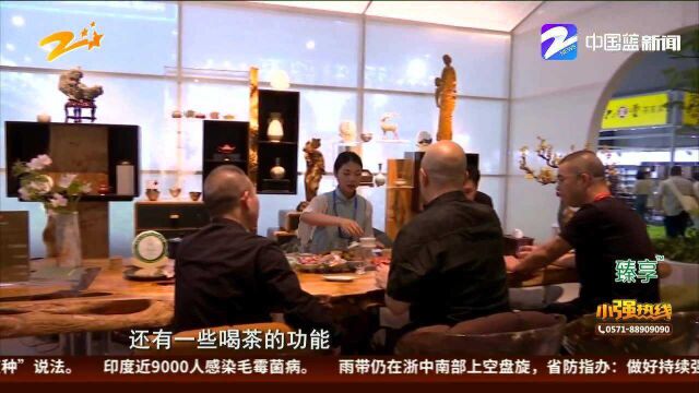 第四届中国国际茶博会:从卖茶叶到卖服务 茶文化里觅商机