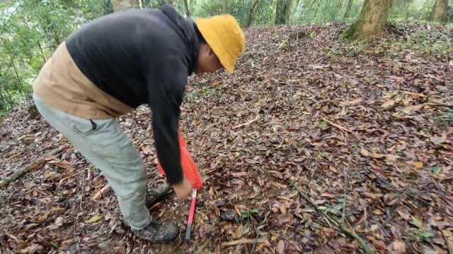 我的乡野生活