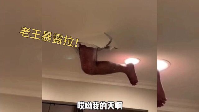 我住隔壁我姓王