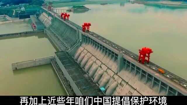 中国最大水库393亿立方米,700公斤的鱼不是极限?最大有多大?