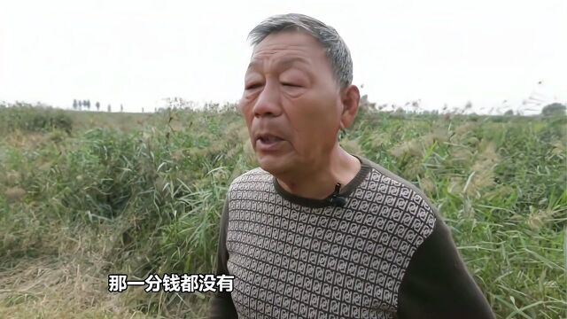 王宝强父亲首次出镜,透露宝强成名前多不容易,地地道道的农民