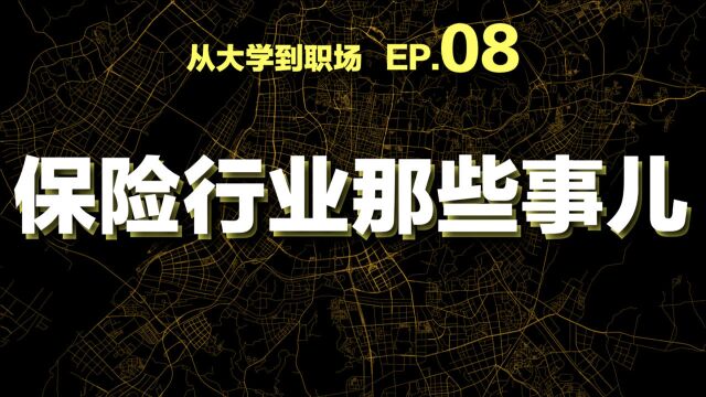 【大学到职场】08 保险行业那些事儿 业绩?收入?职位?