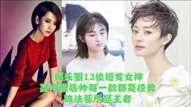 娱乐圈12位短发女神,显冷酷痞帅每一款都是经典,陈法蓉尽显王者