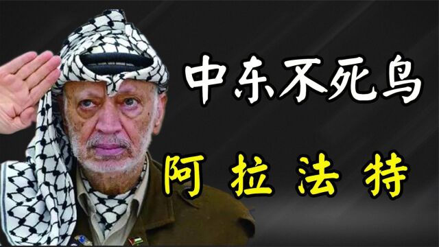 中东“不死鸟”阿拉法特:躲过50次暗杀后,为何却突然病倒?