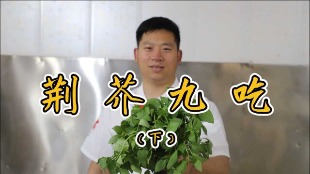 荆芥的9种吃法,据说吃过最后一种都是人生赢家(下)