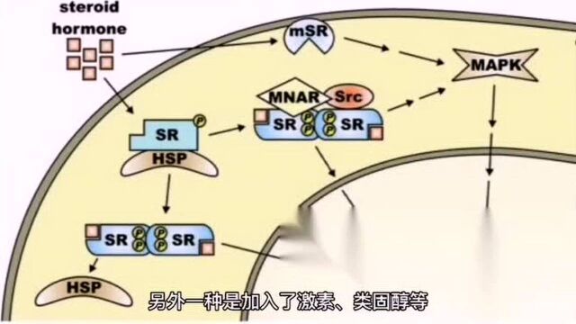 十个护肤小常识帮你养成绝佳好肌肤!