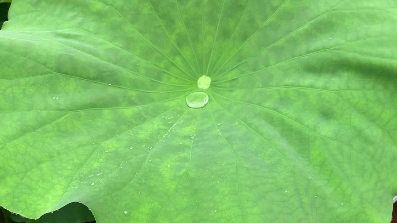 泸州七一前氛围布置真好看,沽酒客冒雨拍摄,为你带来全城红色风