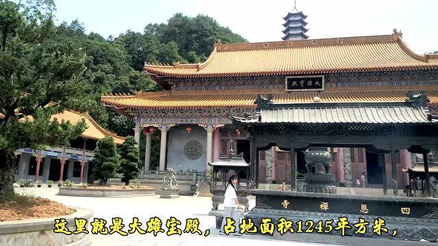 梧州四恩寺建在白云山南麓的风水宝地上,是岭南现代第一大寺