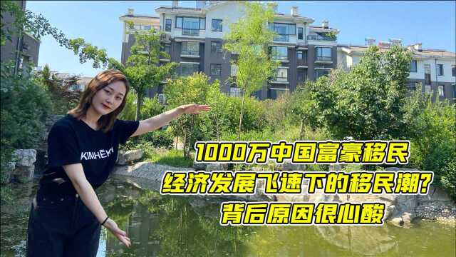 1000万中国富豪移民,经济发展飞速下的移民潮?背后原因很心酸