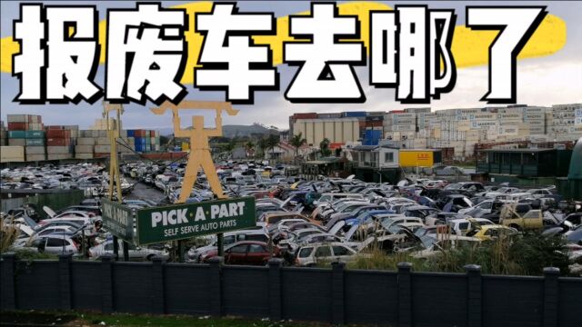 汽车配件哪里找?介绍一个省钱的方法:报废车身上拔一个(二)