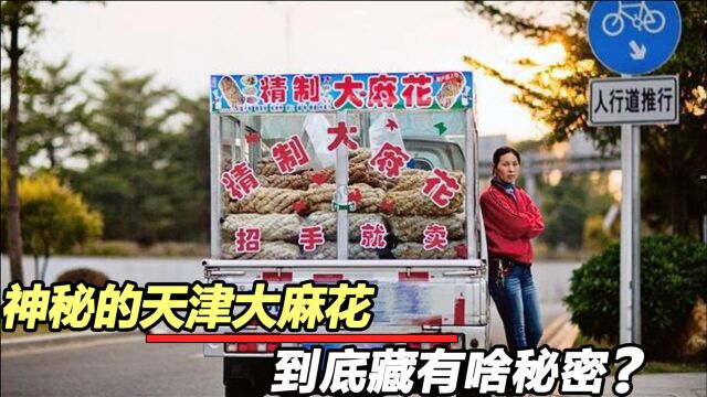 神秘的天津大麻花!为何无人购买却全城乱跑?到底有什么秘密?