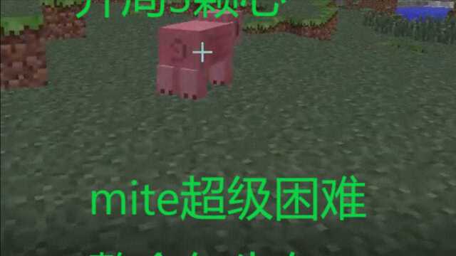 我的世界mc:末日难度整合包mite生存实况第3集.