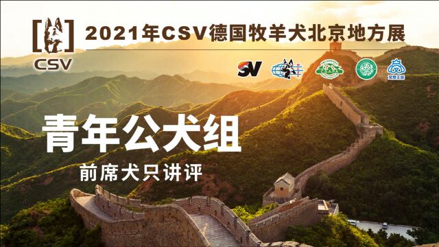 2021年 CSV德国牧羊犬北京地方展青年公犬组前席犬只讲评