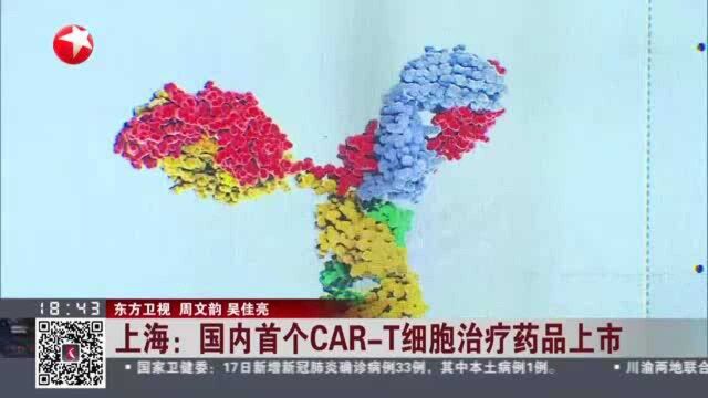 上海:国内首个CART细胞治疗药品上市