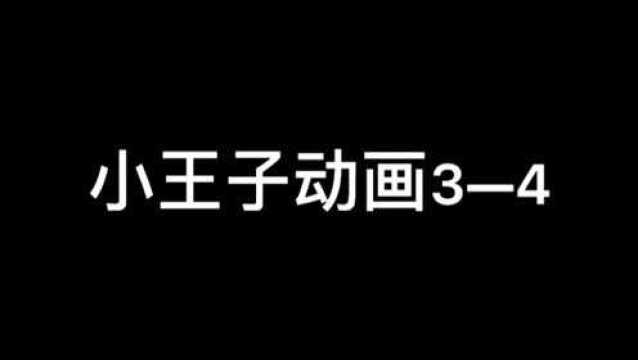 小王子动画