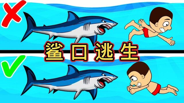 假如天气太热,海上游泳碰到了鲨鱼,你该怎么办?#“知识抢先知”征稿大赛#