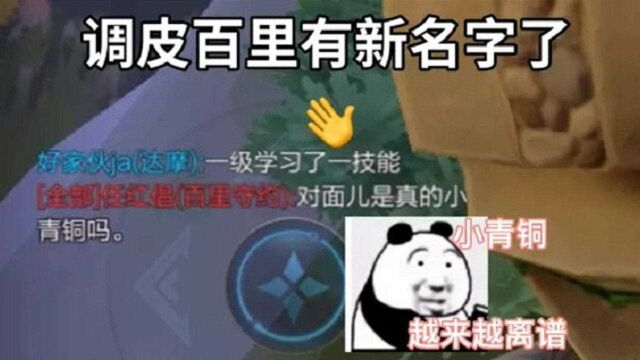 调皮百里有新名字了