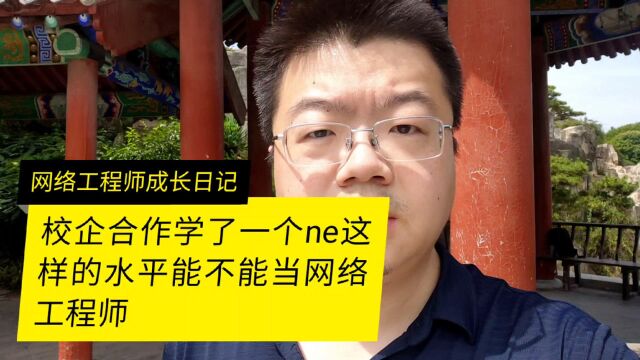 校企合作的时候学习了一个NE可以当网络工程师吗