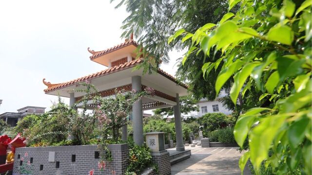 东莞中堂湛翠村创建特色精品村,打造生态旅游观光名村