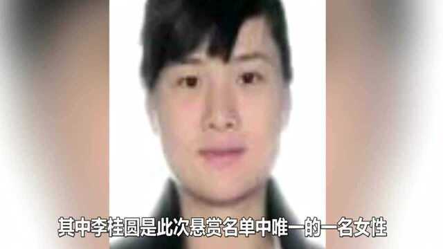 悬赏,山东35名涉黑人员仍在逃,面容清秀的90后女黑老大曝光