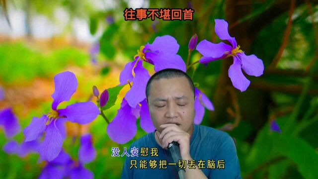 伤感老歌《往事不堪回首》,老歌怎么也听不够