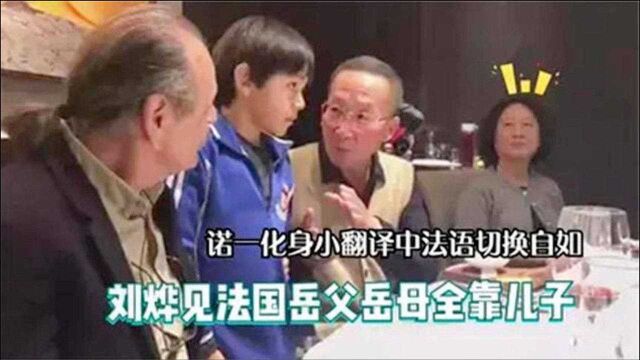 刘烨拜见法国岳父母语言不通,儿子化身“翻译”,中法语转换自如