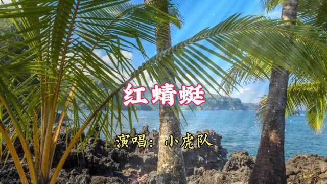 非常好听的经典歌曲【红蜻蜓】请欣赏.