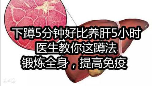 下蹲5分钟好比养肝5小时!医生教你这蹲法,锻炼全身,提高免疫