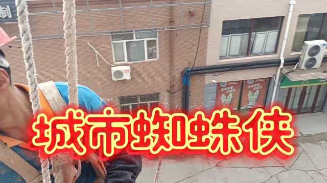 城市蜘蛛侠