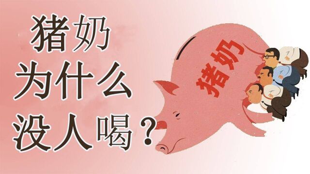 为什么市面上没有猪奶?难道是营养不够,答案令人意外!#知识ˆ’知识抢先知#