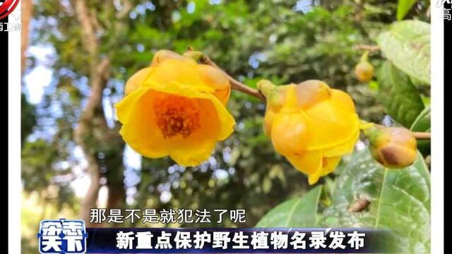 新重点保护野生植物名录发布