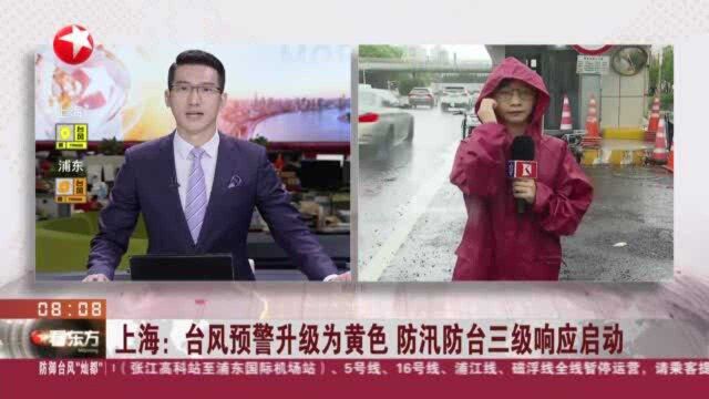 上海:台风预警升级为黄色 防汛防台三级响应启动——大连路隧道 交警护送非机动车过江