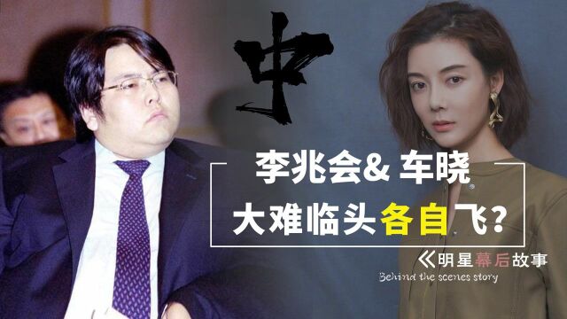 演员车晓和山西煤老板李兆会的爱恋:5000万办婚礼,500桌流水席