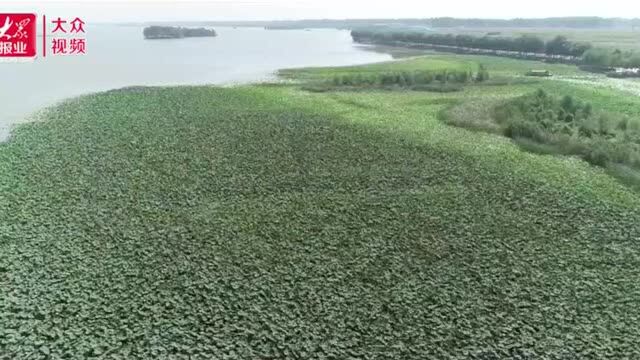 丨浮龙湖文化旅游产业集群获95万专项资金支持