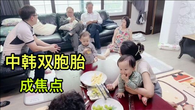 韩国婆家来客人了!双胞胎萌娃成焦点,一屋子的亲戚都盯着小哥俩