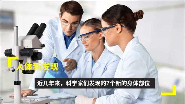 人体新发现:近几年来,科学家们发现的7个新的身体部位