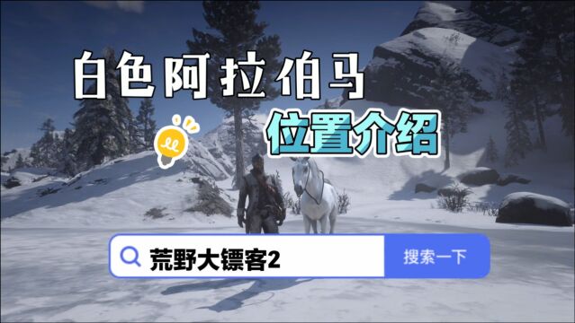 荒野大镖客2:白色阿拉伯马位置攻略,教你如何快速抓到白色阿拉伯马