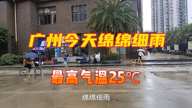 广州今天下起了绵绵细雨,最高气温只有25度,天气特别的凉爽