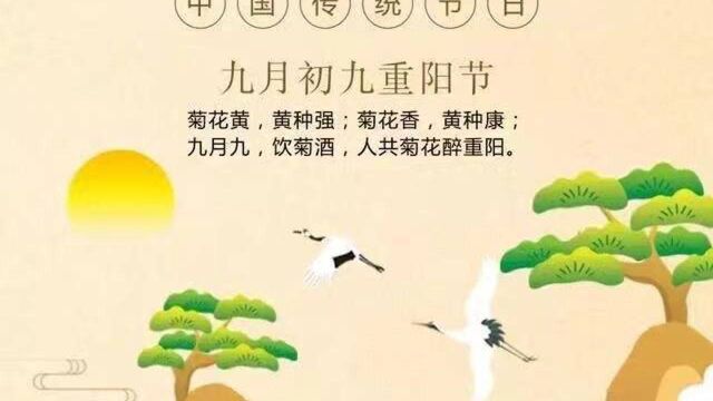 桂东开展“九九重阳节浓浓敬老情”主题活动