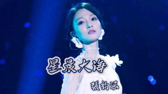 《星晨大海》张韵涵