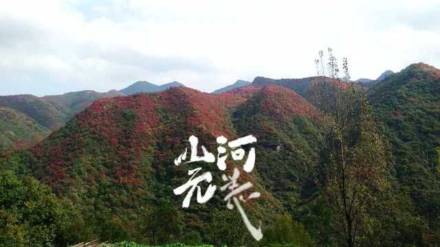 看万山红遍,层林尽染