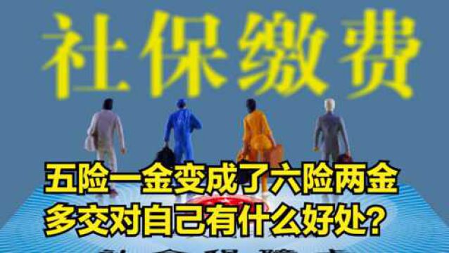 五险一金变成了六险两金,多交的这一险一金对自己有什么好处?