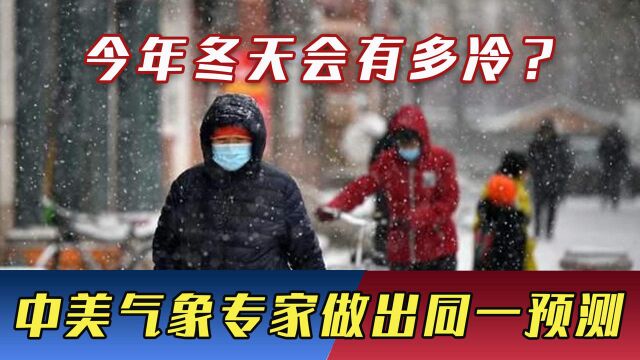 今年冬天会有多冷?权威答案来了,中美气象专家做出同一预测