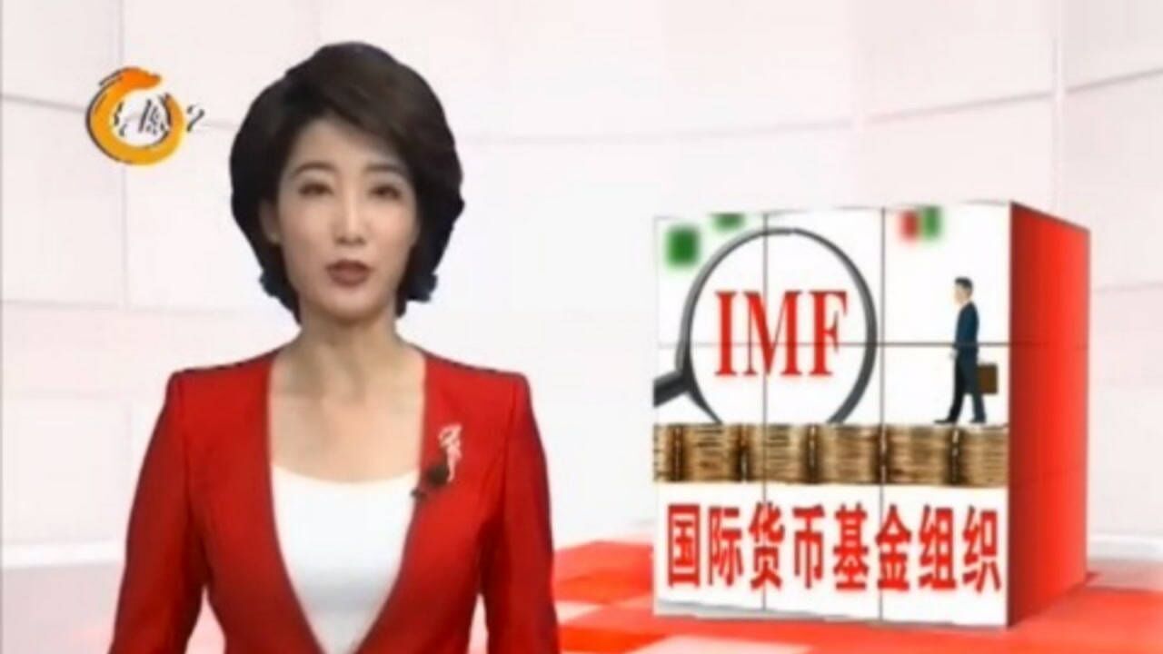 经济术语IMF是什么意思?主持人为您详解!