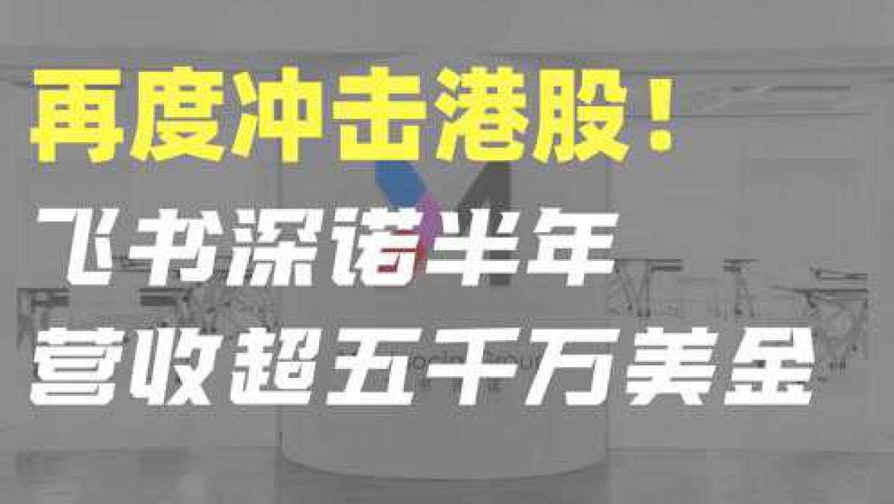 飞书深诺再度冲击港股,上半年营收超五千万