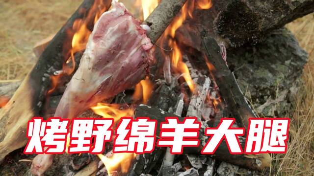 荒野猎人在新西兰大丰收烤绵羊大鹿腿水煮南瓜鹿肉太好吃了