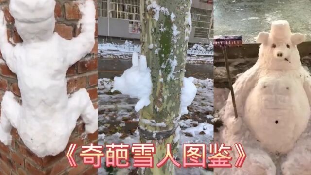 搞笑:奇葩雪人图鉴#搞笑视频 #沙雕