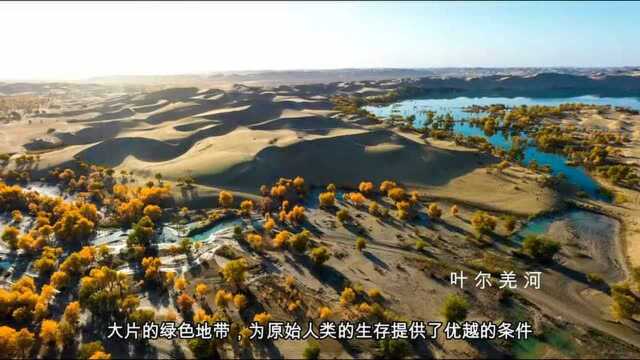 塔里木河,发源于世界最大山岳冰川,吸食南疆9大水系